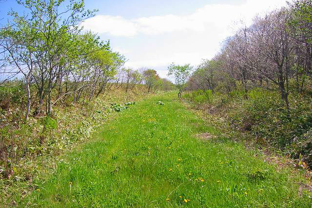 根室ネイチャーセンターの写真1