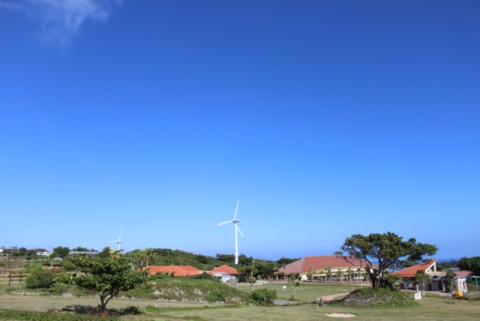 うちなーファームの写真1