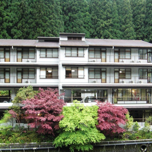 龍神温泉 美人亭の写真1