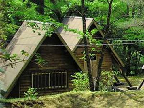 龍神村小又川バンガローの写真1