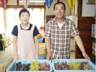 丸富ぶどう園の写真1