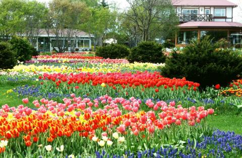 紫竹ガーデンの写真1