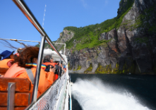 知床クルーザー観光船 ドルフィンの写真1