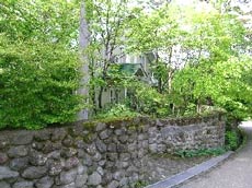 おどろ木ももの木さんしょの木の写真1