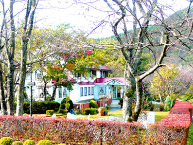 ペンション あけまの森の写真1