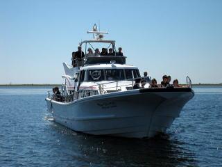 別海町観光船の写真1