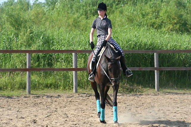 株式会社南幌ライディングパークの写真1