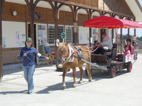 十和田市馬事公苑 駒っこランドの写真1