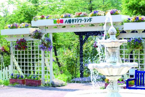 八幡平フラワーランドの写真1