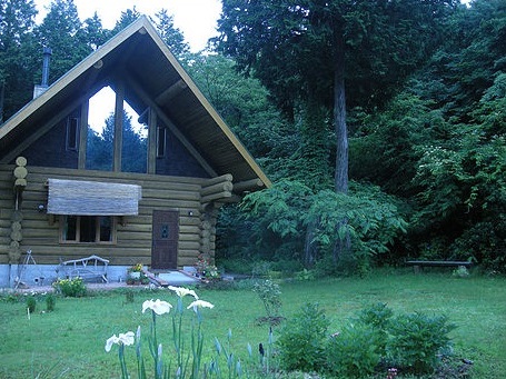 天テラスの写真1