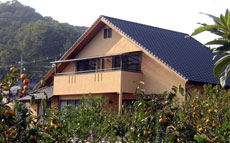 シーサイドトリュフの写真1