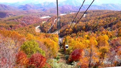 グランデコ パノラマゴンドラの写真1