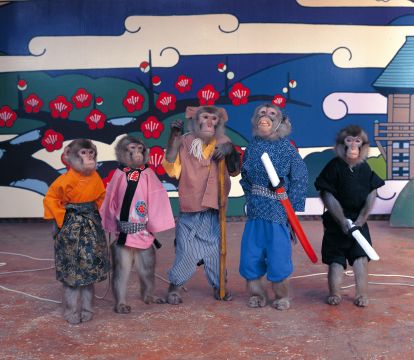 東筑波ユートピアの写真1