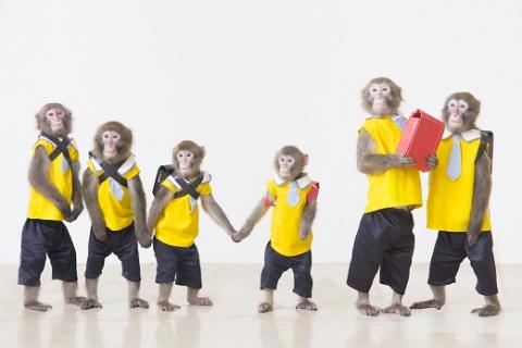 日光さる軍団劇場の写真1