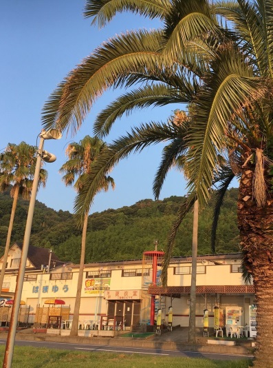 ありが島 海の家の写真1