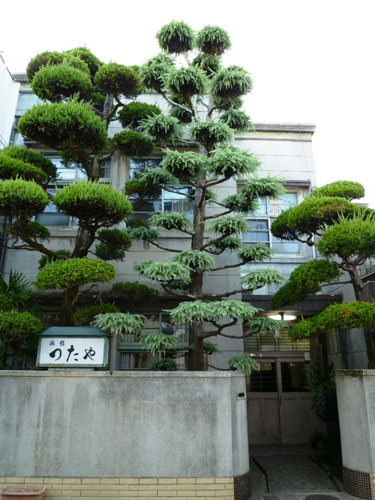 つたや旅館 <愛媛県>の写真1
