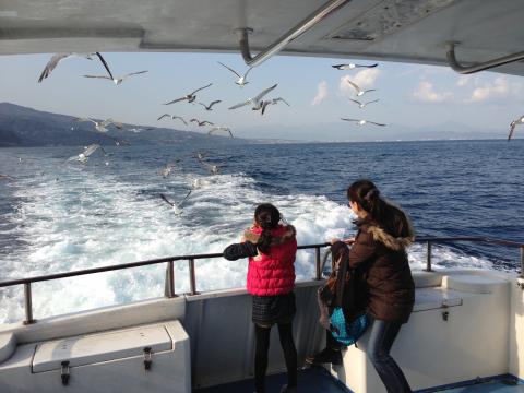 真鶴半島遊覧船の写真1