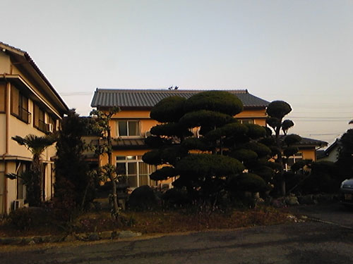 清乃家旅館の写真1