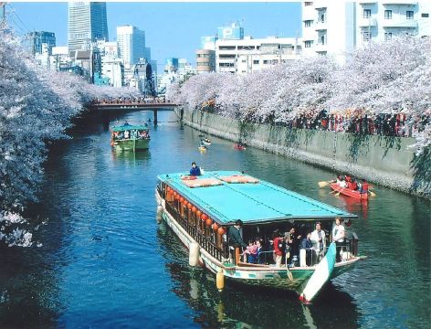 屋形船 濱進の写真1
