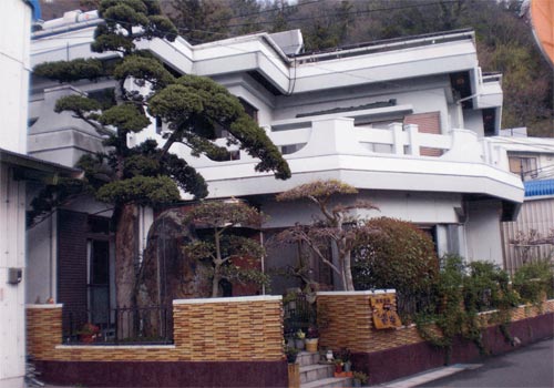 漁家民宿 遊海の写真1