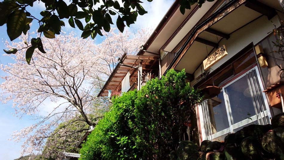 かっぱバックパッカーズの写真1