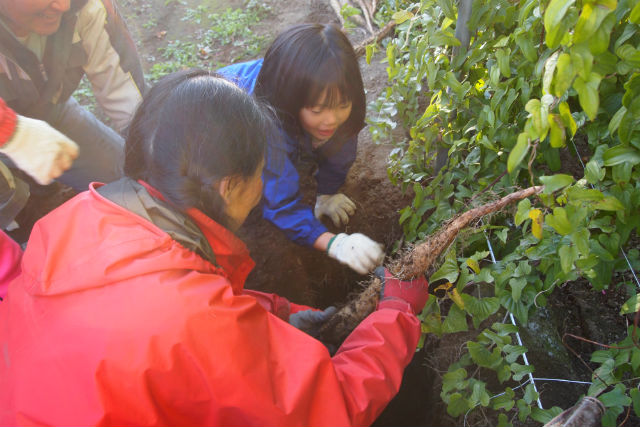 いただきますカンパニーの写真1