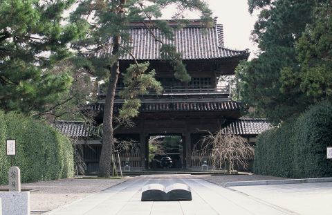 珠姫の寺天徳院の写真1