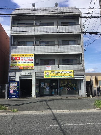 ビジネス マンション ピアクレスト ひまわり館の写真1