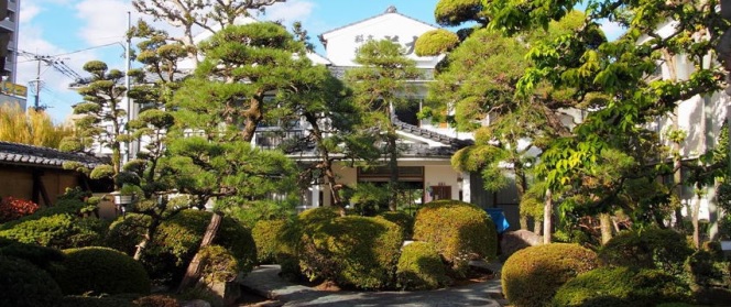 若力旅館の写真1