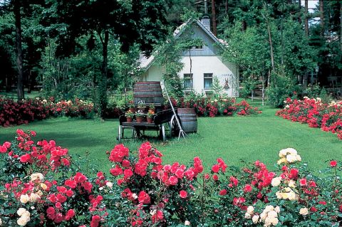 信州塩尻農業公園 チロルの森の写真1