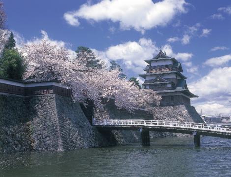 諏訪高島城の写真1