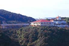 魚魚の宿の写真1