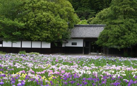 加茂荘花鳥園の写真1