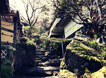 季の杜 石庭の写真1