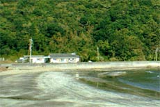 民宿 はとう津の写真1