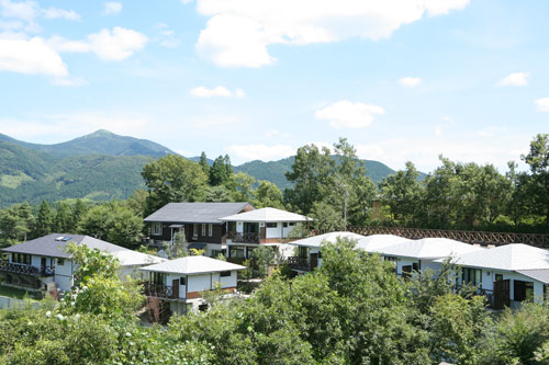 由布院温泉 ゆふいん椿の写真1