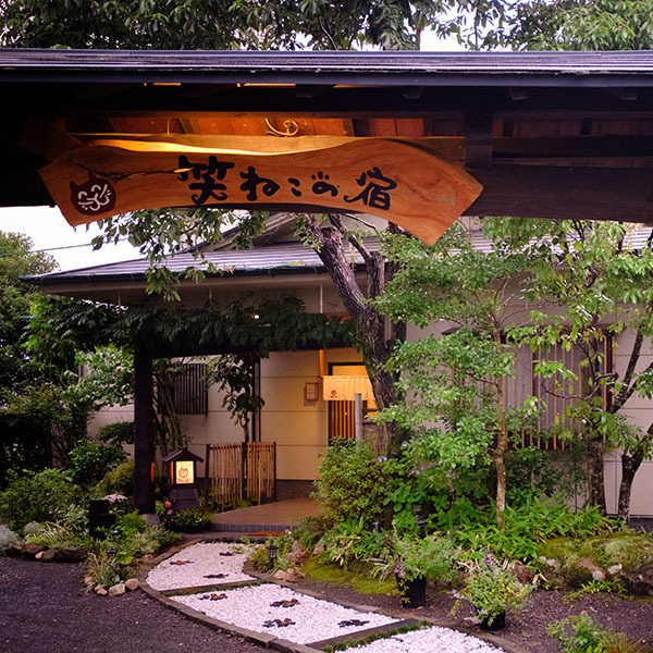 ゆふいん 笑ねこの宿の写真1