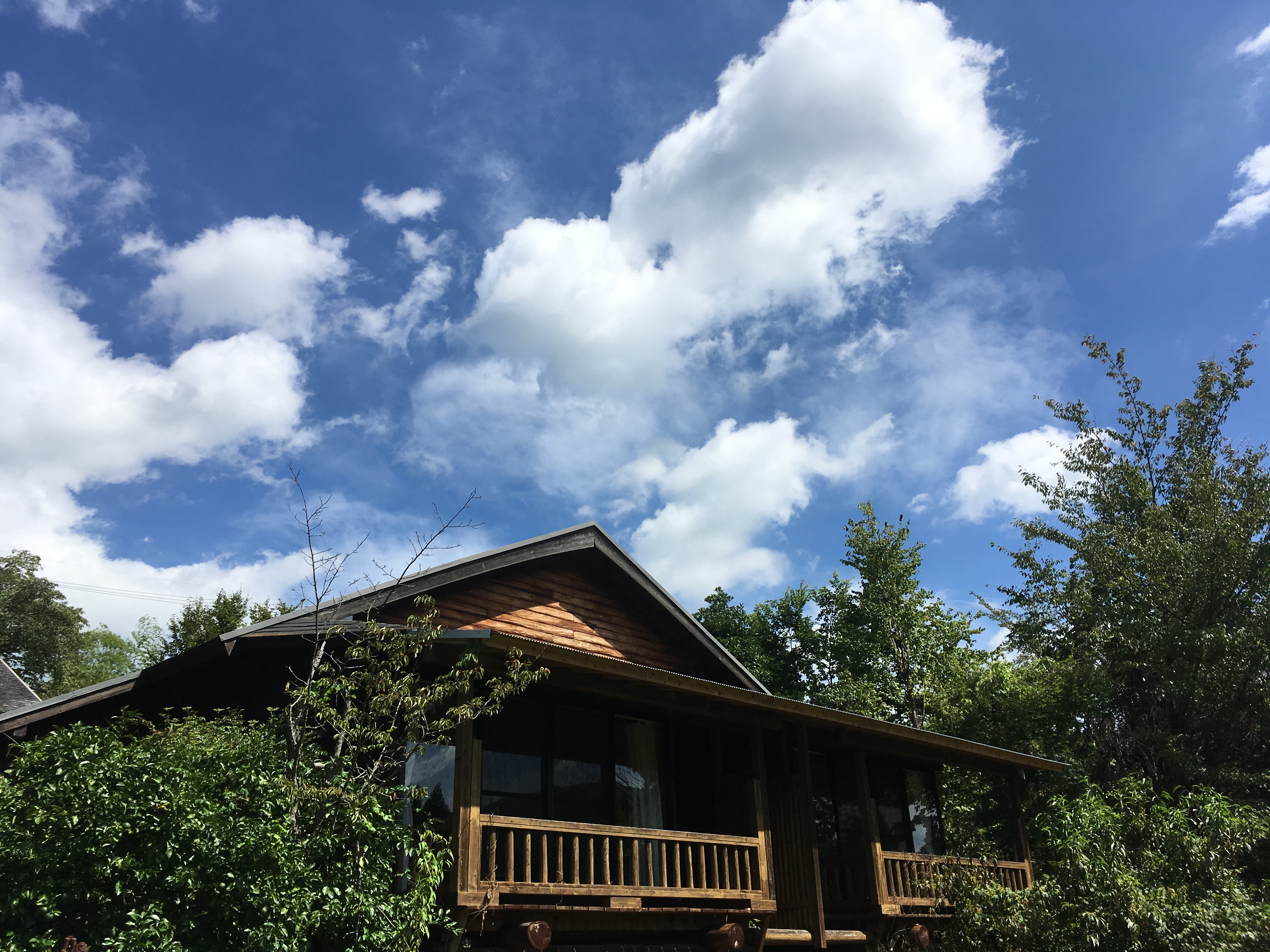 山荘 紗羅樹の写真1