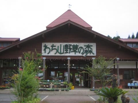 わち山野草の森の写真1