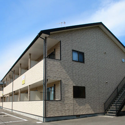 ヤマカンの写真1