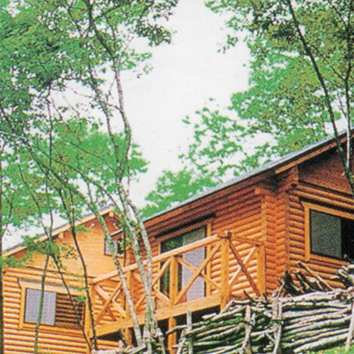 せせらぎの郷 華じ花の写真1