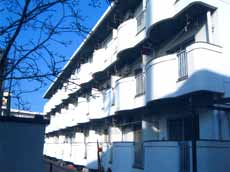 リトルアリスの写真1