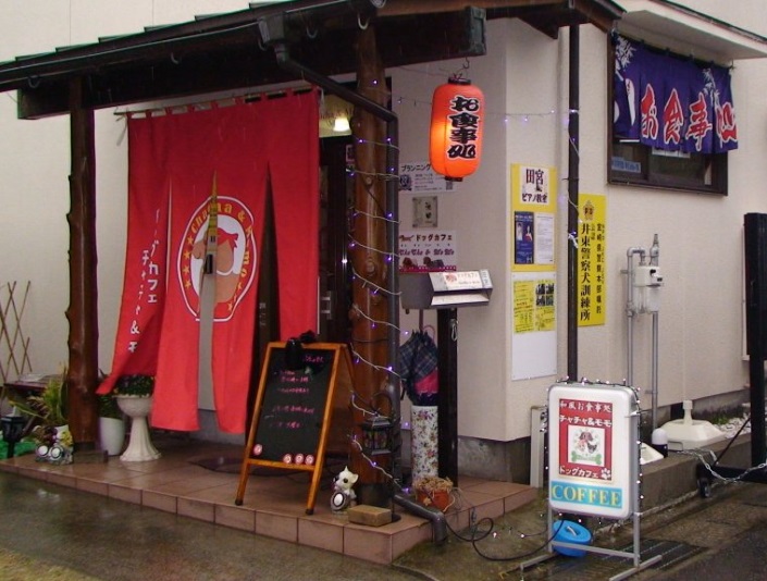 チャチャ&モモの写真1