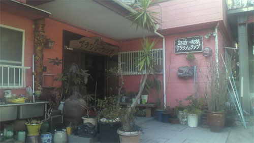 恩宿 アラジンのランプの写真1