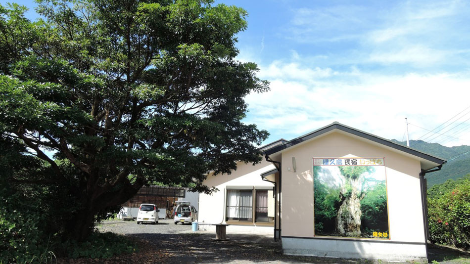 民宿 いっぱち <屋久島>の写真1
