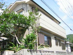 あまみユースホステル <奄美大島>の写真1