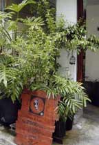 宿や 潮水 usumiziの写真1