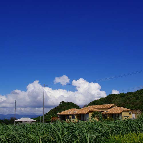 hotel cavaの写真1