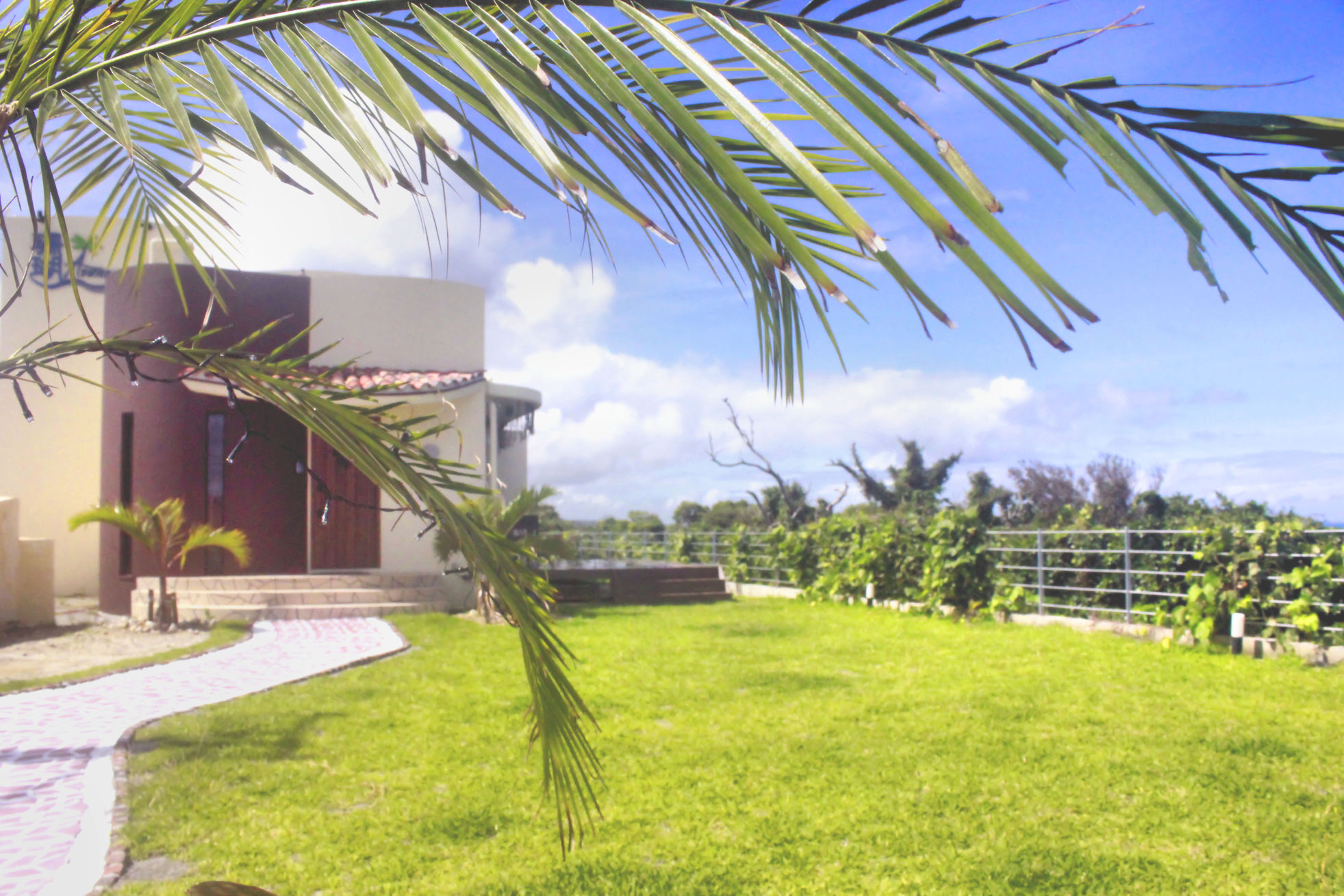 珊瑚Avenueの写真1