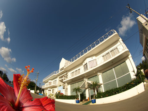 マリンハウス IE アイランドの写真1